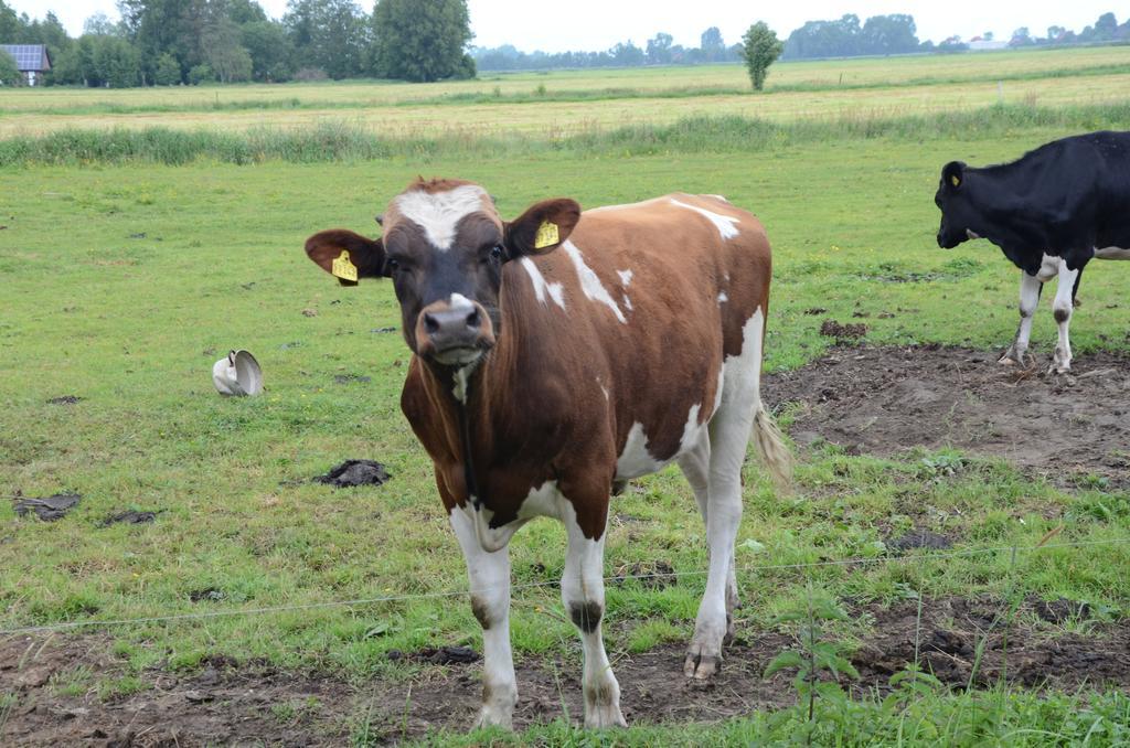 Farm Stay Hof Auf Der Wurp Harrierwurp Ngoại thất bức ảnh